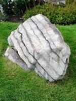 ������������ �������� �����