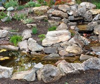 ���������� �����