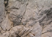 ����������� ������ � ����� ������������ �����