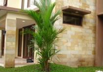 ������ � ������������� ������ �� ������������ �����